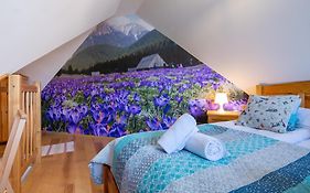 Apartament dwupoziomowy w centrum Zakopanego